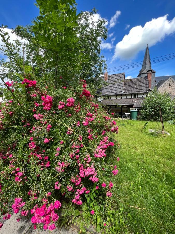 Villa 300 Jahre Altes Renoviertes Fachwerkhaus à Peterslahr Extérieur photo